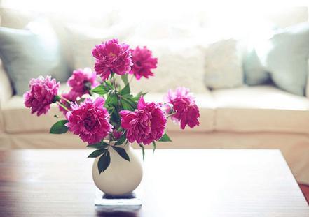 INSPIRATION: DECO...