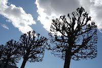 ESTOCOLMO 5 días ESTOCOLMO 5 días