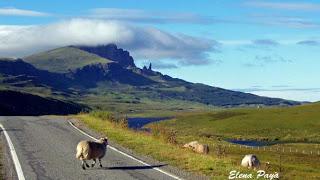 VIAJE A ESCOCIA 11 días