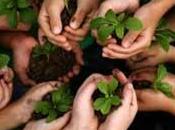 declara Década Desarrollo Sostenible para Todos