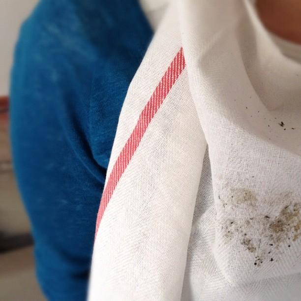 instantes de una calçotada con amigos - instants of  a calçotada with friends