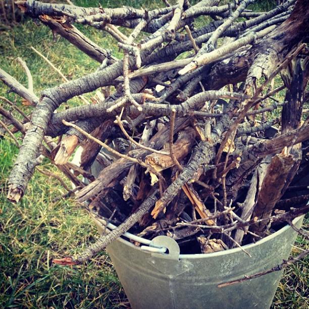 instantes de una calçotada con amigos - instants of  a calçotada with friends