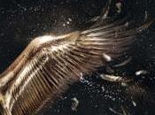 Publicación México "Fusión" (Puro Julianna Baggott