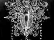 Cosmic Trilobite