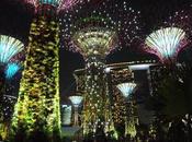 Gardens Bay, enorme espectacular jardín Singapur