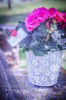 PRESENTACIÓN FLORISTERIA BAST