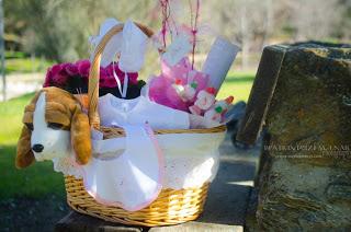 PRESENTACIÓN FLORISTERIA BAST