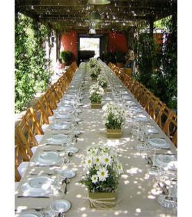 PRESENTACIÓN FLORISTERIA BAST