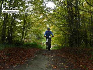 Ruta BTT Cerezo en Flor 2013