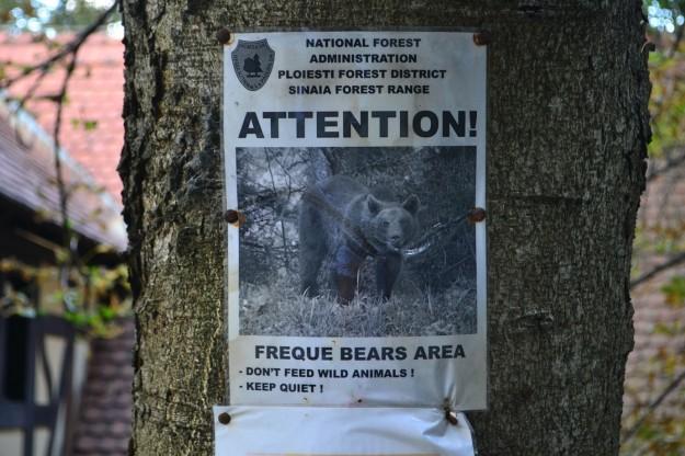 ¡Cuidado! Zona de Osos salvajes - Sinaia