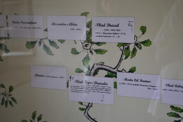 Genealogía de la familia de Vlad Tepes Dracul - Castillo Bran