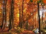 Calvin Hobbes jugando mundo real