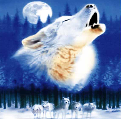 Mi hijo miente, y la culpa es de la loba lobo