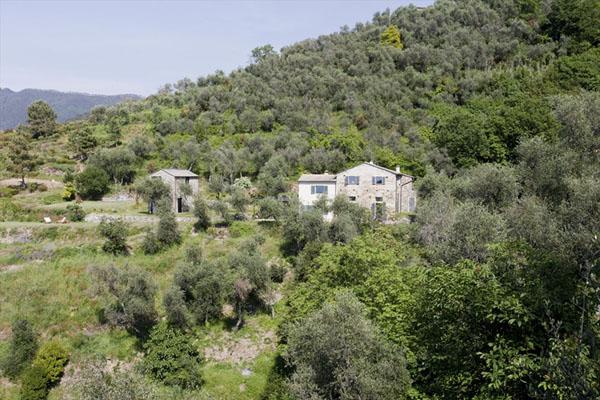 Deliciosa restauración.