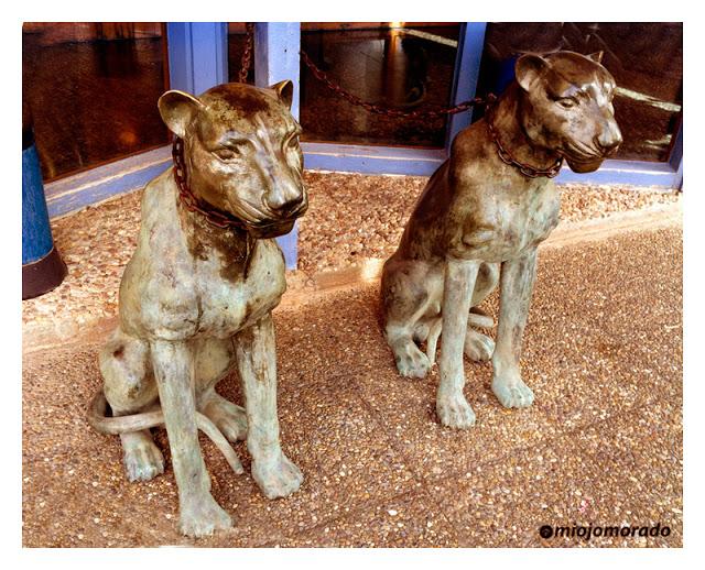 Vigilantes de piedra