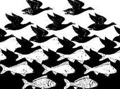 Tendremos Papa Negro…