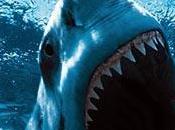 Tiburones comiendo pececillos