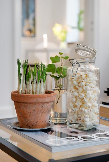 muebles de ikea decorar muebles de ikea Mini piso de 40 m² de estilo escandinavo inspiración muebles de ikea diseño de interiores con muebles de ikea diseño de interiores decorar salones pequeños decorar minipisos decorar habitaciones pequeñas decorar con muebles de ikea decoración pisos pequeños decoración nórdica decoración mini pisos decoración espacios pequeños estudios decoración escandinava decoración en blanco y gris decoración en blanco decoración de interiores blog estilo nórdico blog decoración nórdica blog decoración escandinava aprovechar espacio decoración 