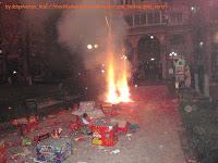 Bienvenida al Año de la Serpiente