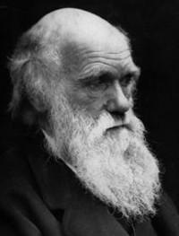 Charles Darwin y su teoría de la evolución