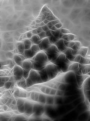 ¿Qué es un fractal?