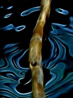 ¿Qué es un fractal?