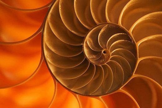 ¿Qué es un fractal?