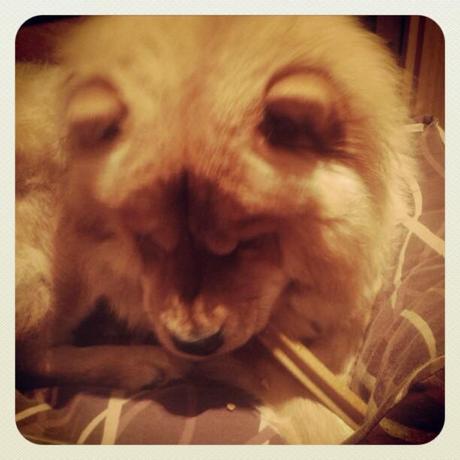 Mi Semana en Imágenes