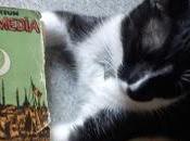 "Bajo media luna", Knut Hamsun