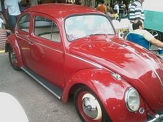 Show de Volkswagen en Puerto Rico