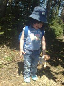 En el bosque de las hadas