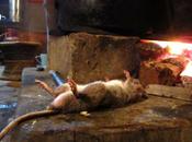 Sabores Asia: comida Naga