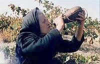 Jóvenes y alcohol. Y, usted, ¿bebe?