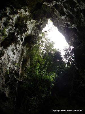 NUEVA CALEDONIA: LA ISLA DE LIFOU