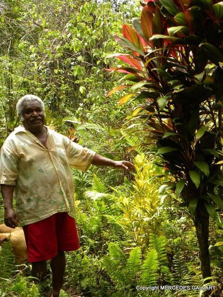 NUEVA CALEDONIA: LA ISLA DE LIFOU