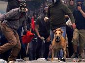 Lakanicos, perro manifestante...