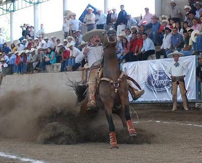 Los Cuatro Amenazaron las Alturas del Excelencia, pero…