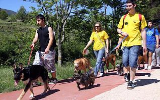 La I Marcha Animalística de Alcoy acoge a unas 100 personas con sus perros
