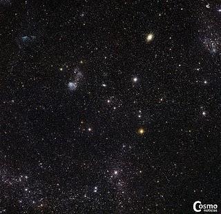 Un zoológico cósmico en la Gran Nube de Magallanes