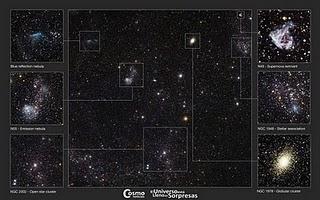 Un zoológico cósmico en la Gran Nube de Magallanes