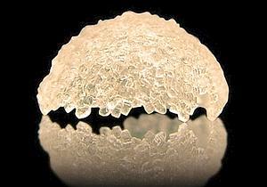 Crean un Lego Biologico para construir organos artificiales.