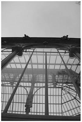 El Palacio de Cristal en Madrid y el Palacio de Bellas Artes en México