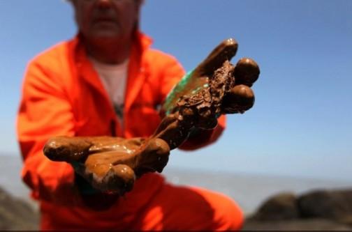 Crudo en fuga, ecología enferma