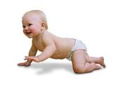 Ocho meses