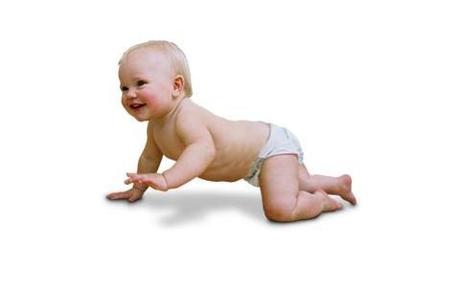 Ocho meses Ocho meses