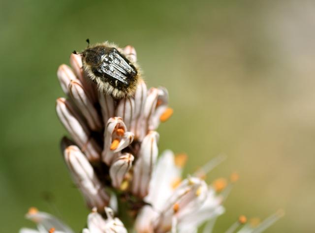 Image Hosted by ImageShack.us