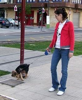 COM ENSENYAR UN CADELL A SER NET