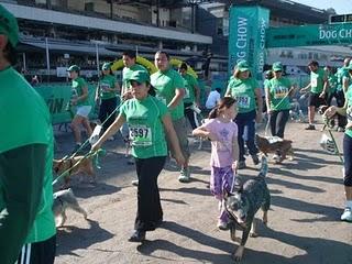 ¡Por primera vez en Guadalajara el Purina Dog Show Perrotón 2010!