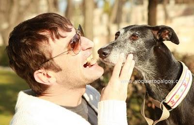 CARLOS CHAMORRO - GALGOS