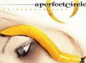 Perfect Circle